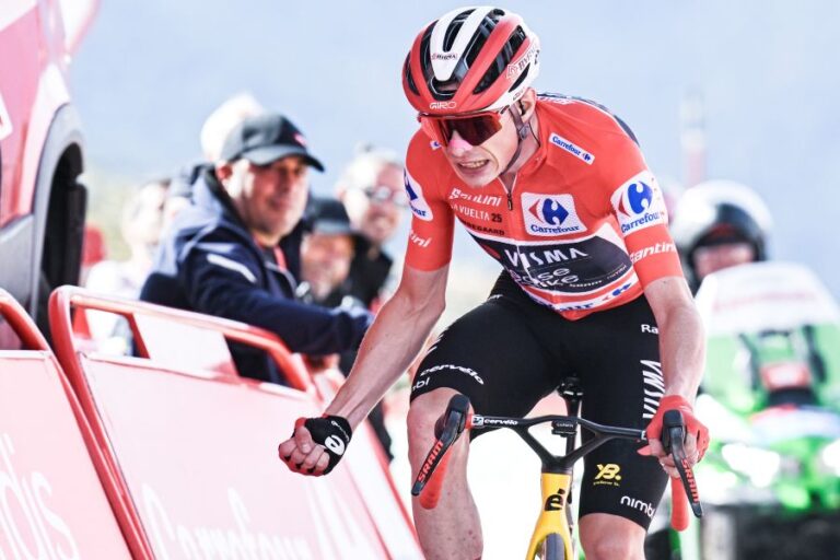 Sur la chute de la formation Jonas Vingegaard