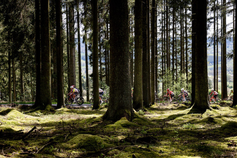 Pourquoi Liège fait demi-tour à Bastogne ?